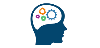 Iron aids cognition