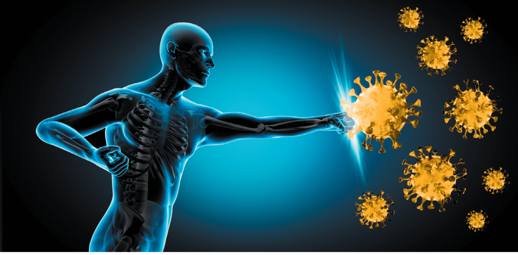 Iron helps build immunity