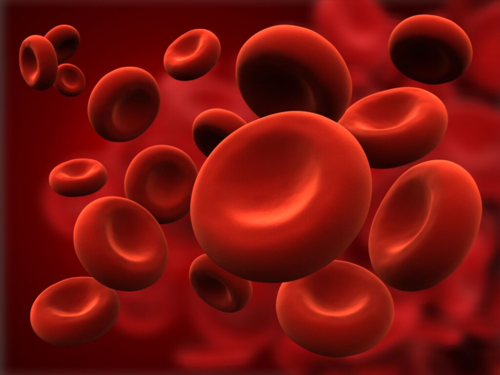 Iron oxygenates the body