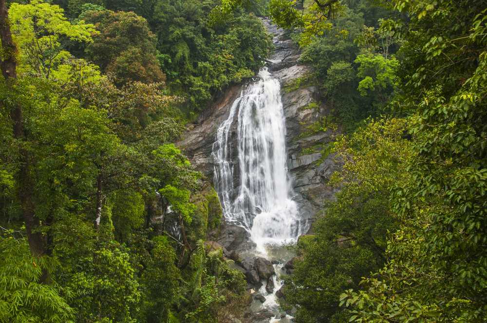 Attukad Waterfalls Munnar