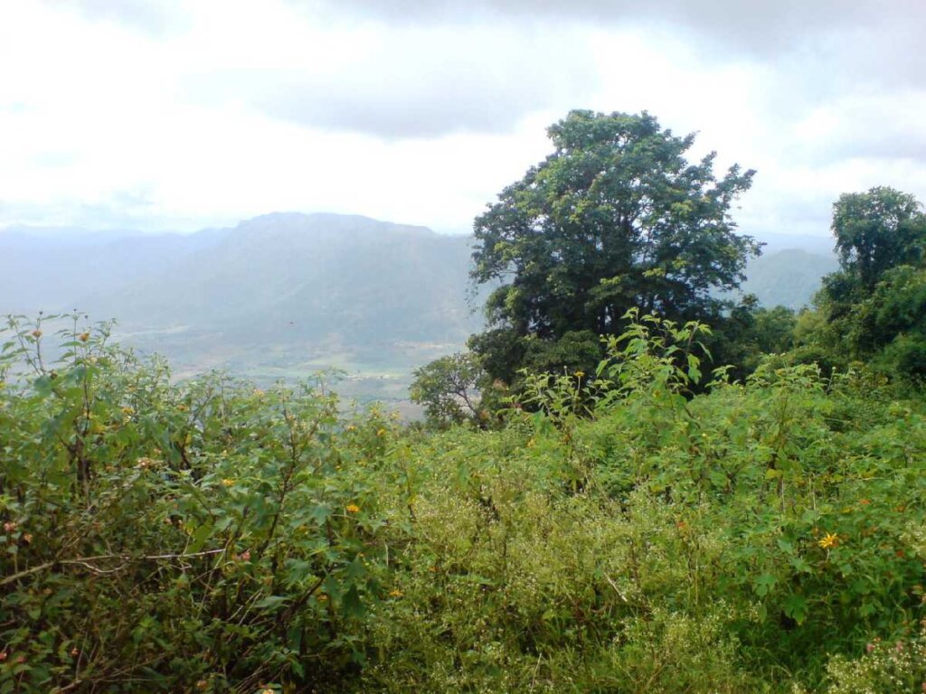 Chellarkovil VIewpoint Kerala