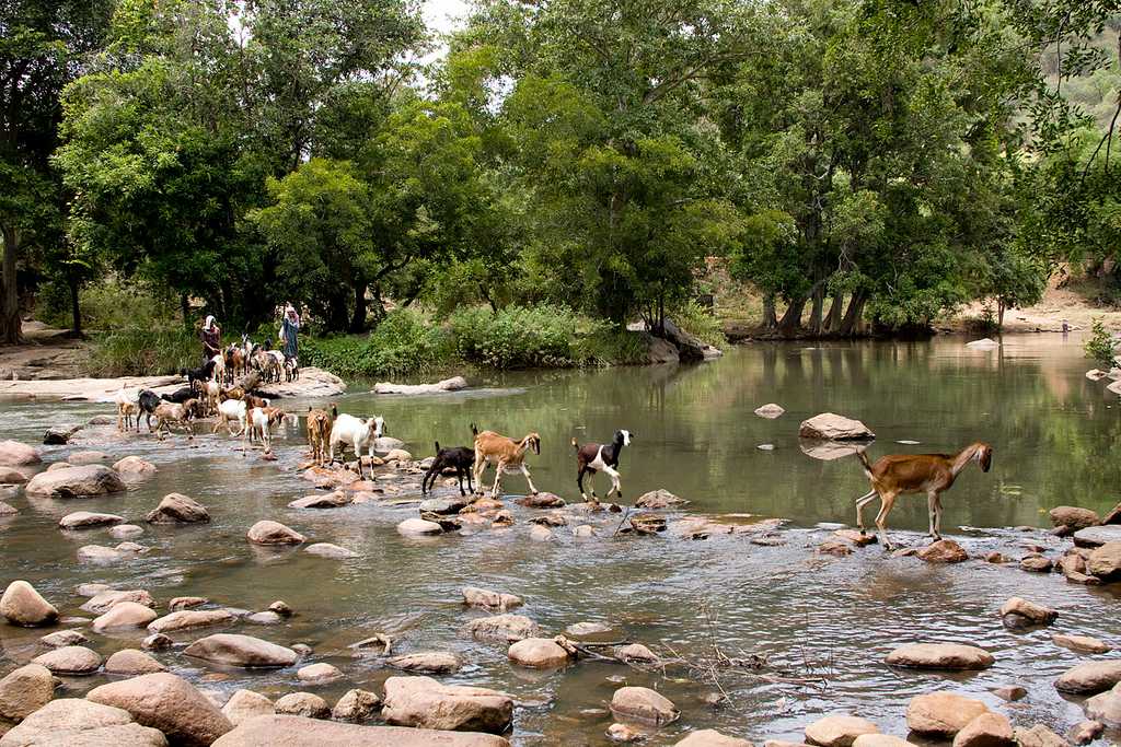 Chinnar Wildlife Sanctuary Kerala