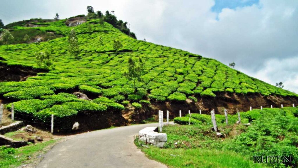 Photo Point Kerala