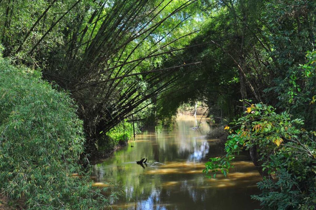 Sulthan Bathery Kerala