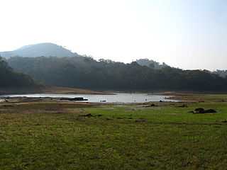 Thekaddy Lake Kerala