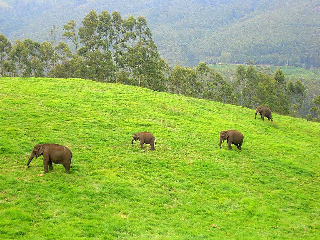 Vandiperiyar Kerala