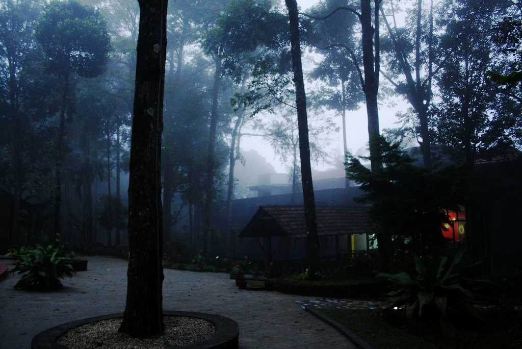 Vythiri Kerala